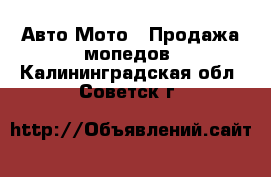 Авто Мото - Продажа мопедов. Калининградская обл.,Советск г.